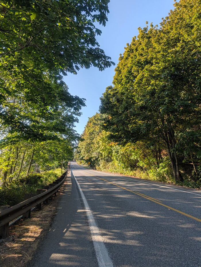 Long road surrounded by lush trees for 356 miles walk to help leukemia patients find a match Long road surrounded by lush trees for 356 miles walk to help leukemia patients find a match
