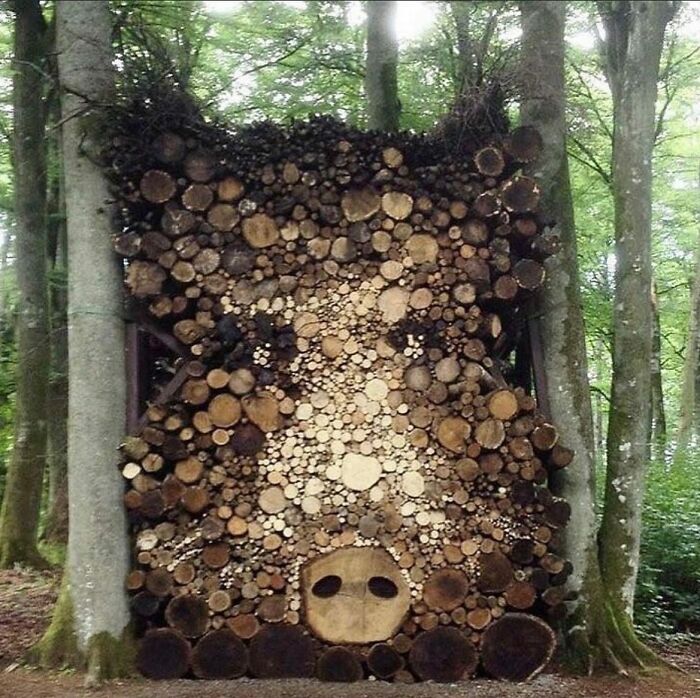 A creative street art sculpture made from various sizes of logs and branches, forming a face with a dark, hollow mouth in a forest.