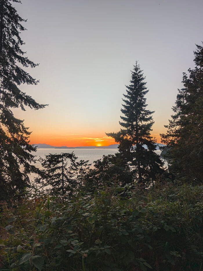 Sunset over ocean with trees symbolizing hope in leukemia match walk of 356 miles Sunset over ocean with trees symbolizing hope in leukemia match walk of 356 miles