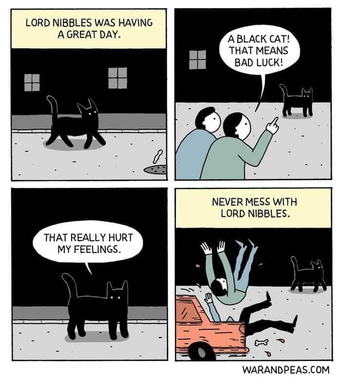 50 Hilarious Cat Comics By ‘War And Peas’ That Capture The Chaos Of Living With Feline