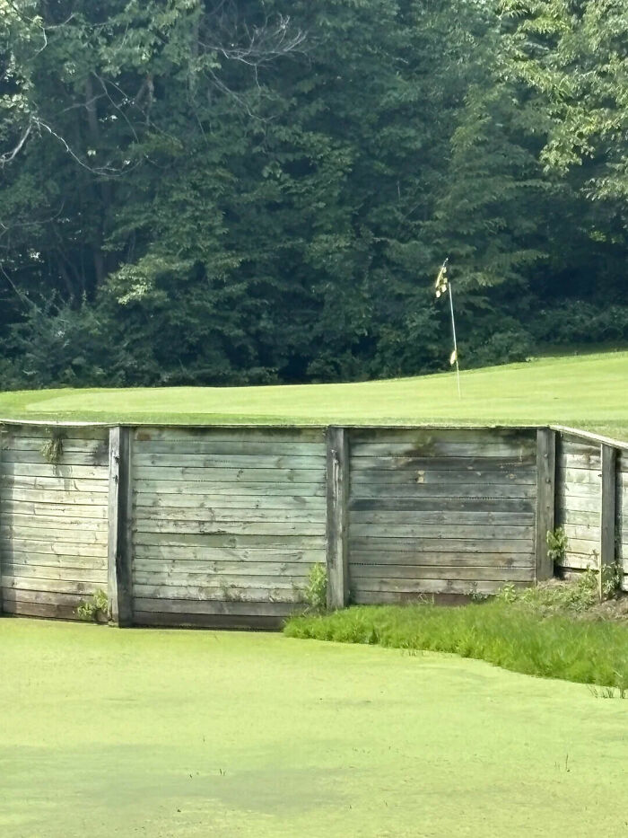 Optical illusion on a golf course with a wooden wall next to a green pond, making you look twice.