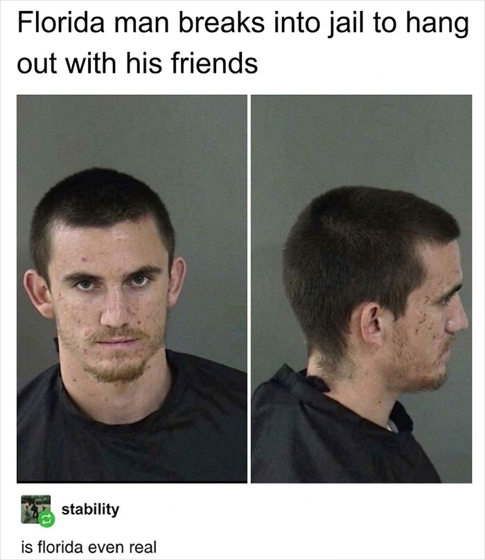 Roses Are Red, The Cycle Never Ends