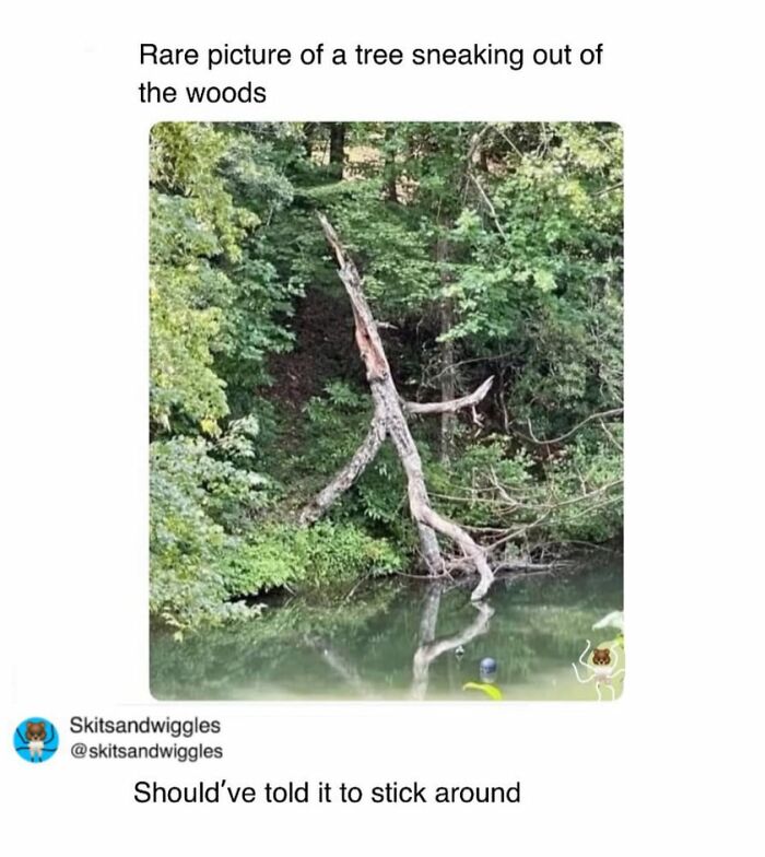 Random-Humorous-Memes