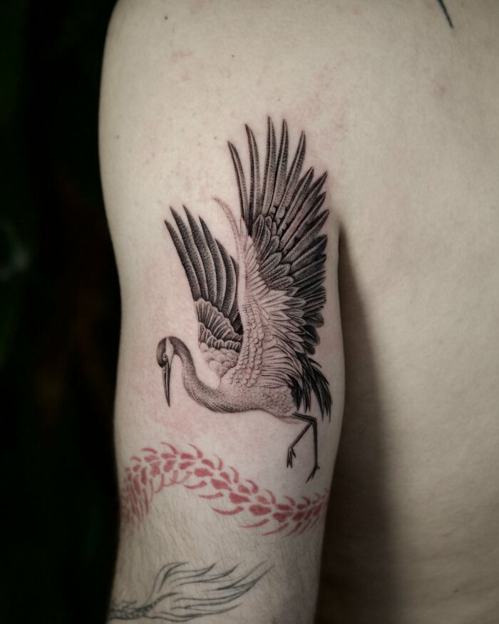 Black and grey crane bird tattoo on arm nature ink with fine details