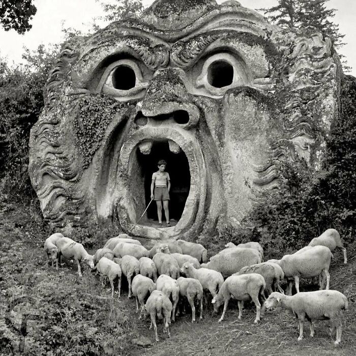 Old photos of animals showing a shepherd boy and his sheep by a stone monster statue.
