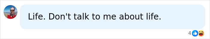 Comment expressing frustration about life in AI discussion
