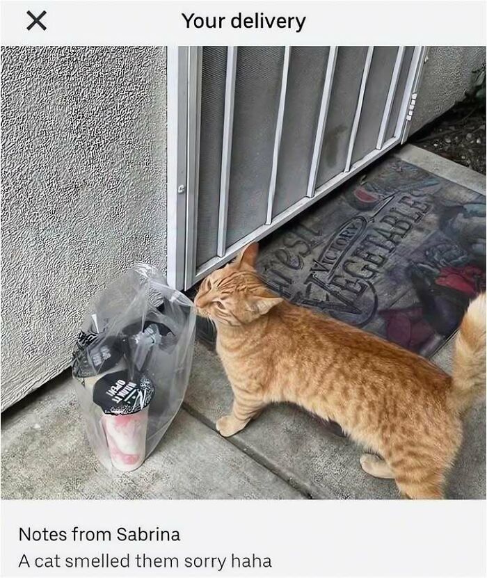 A funny meme of an orange cat sniffing a delivery bag outside a door.