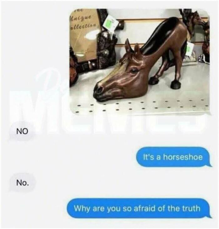 A funny meme of a text conversation about a horse-shaped high heel shoe.