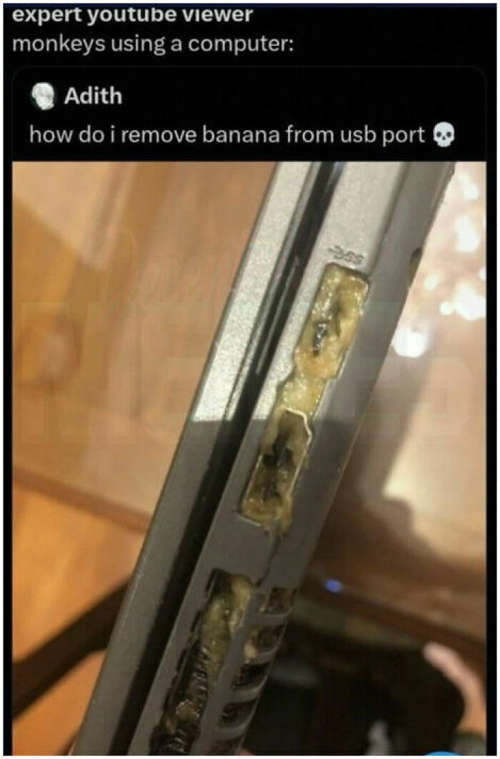A close-up of a laptop with banana mashed into its USB port. The text asks how to remove banana from usb port. Hilarious memes.