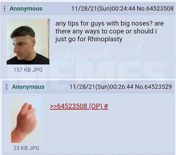 A humorous meme featuring an anonymous user asking for tips for guys with big noses, with a funny reply.