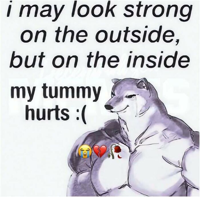 A meme with a muscular dog crying, showing that even strong people have feelings, representing hilarious memes.