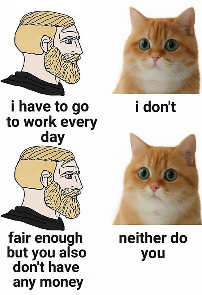 A split image animal meme compares a man's daily work life to a cat's leisurely existence.