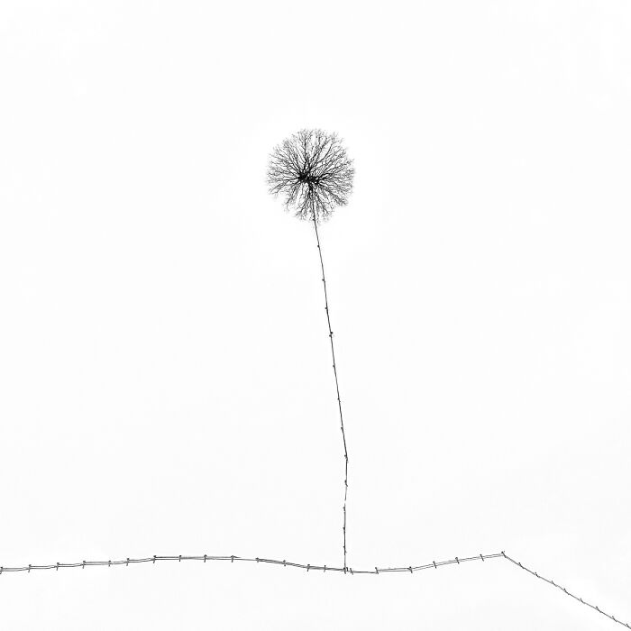 Winter Drawings