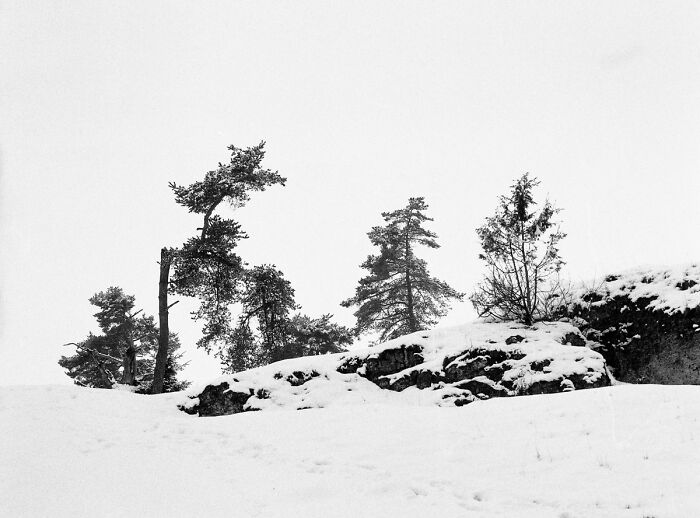 A Winter Journey