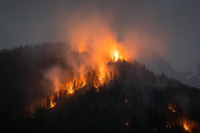 A devastating wildfire burning a forest at night, highlighting a big problem for society.