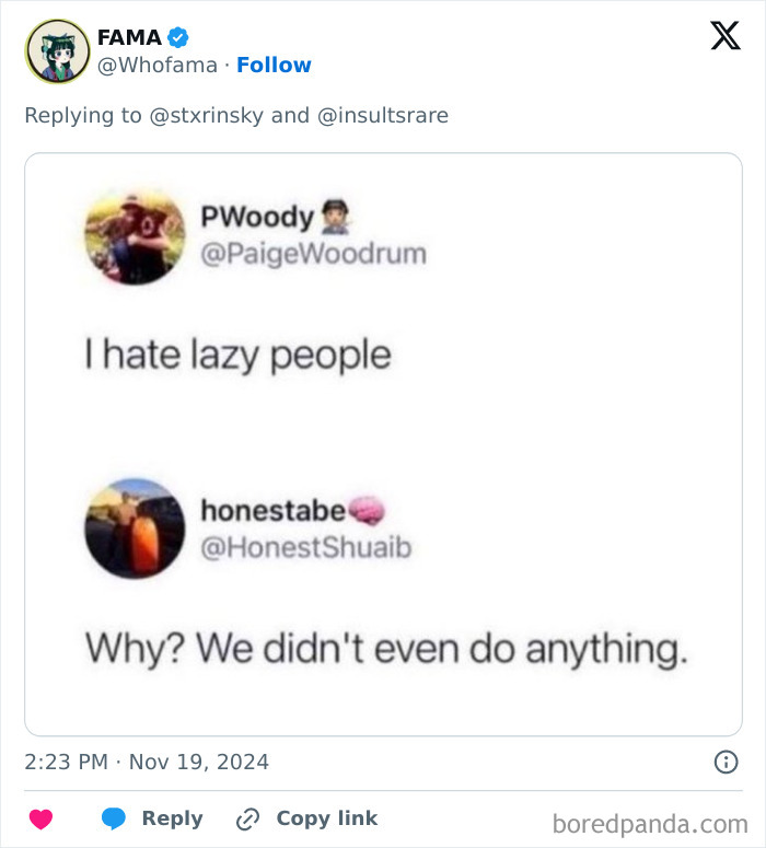 Funny comment section screenshot: Two people discussing hating lazy people, with a witty retort. A funnier post.