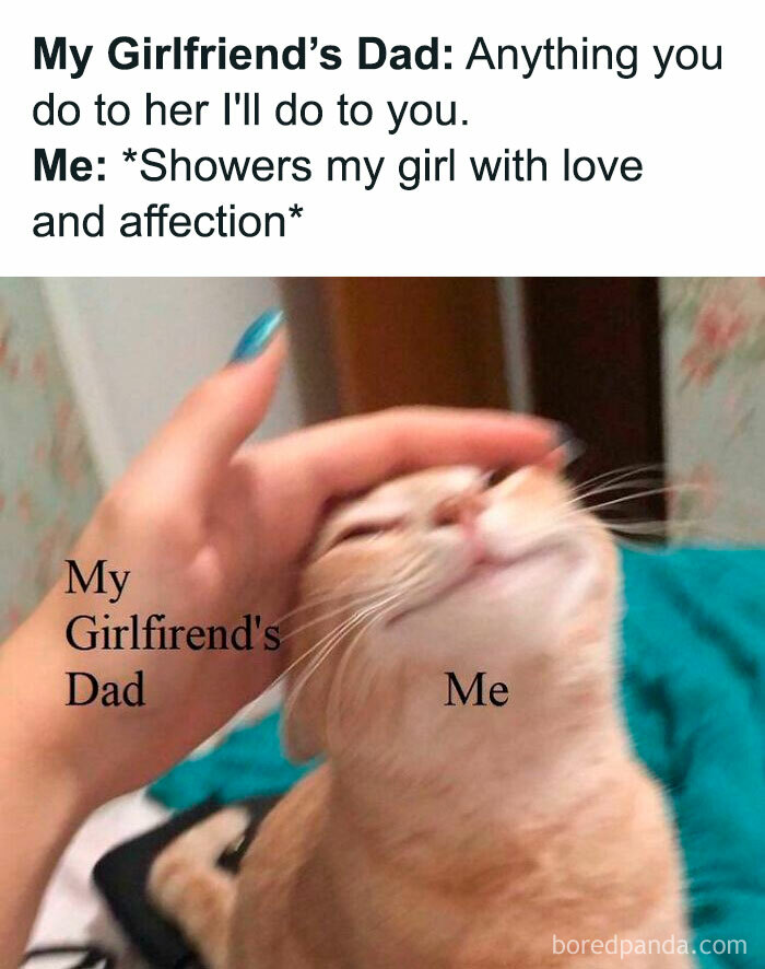 A humorous meme about relationships, showing a cat being petted, captioned with girlfriend's dad and me.