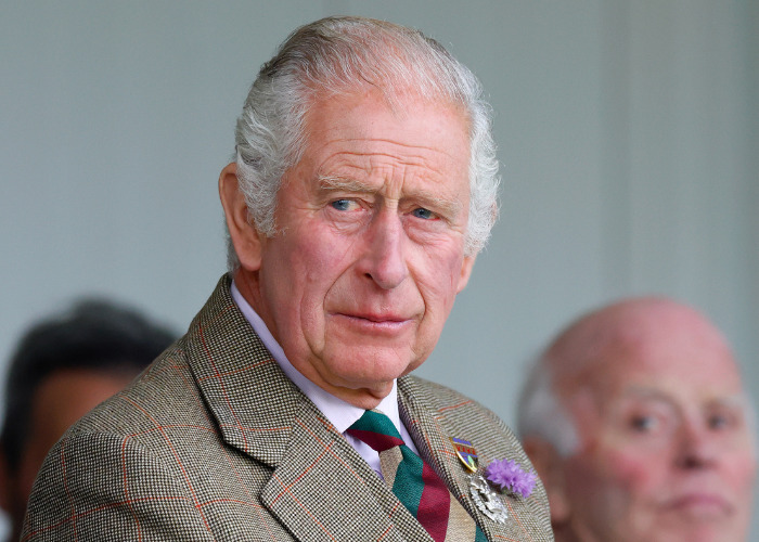 King Charles in a tweed jacket, his expression serious, discussing the private citizens label for Harry and Meghan. King Charles in a tweed jacket, his expression serious, discussing the private citizens label for Harry and Meghan.