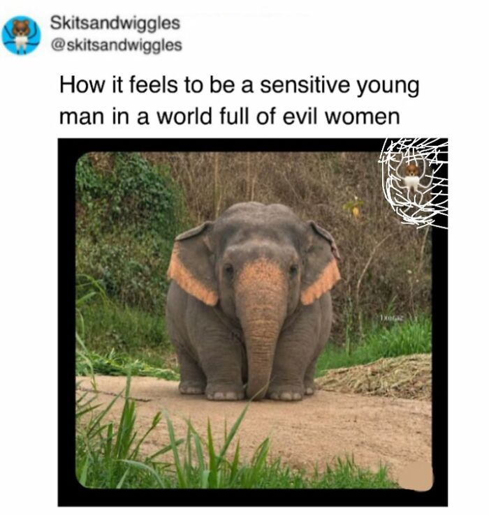 Random-Humorous-Memes