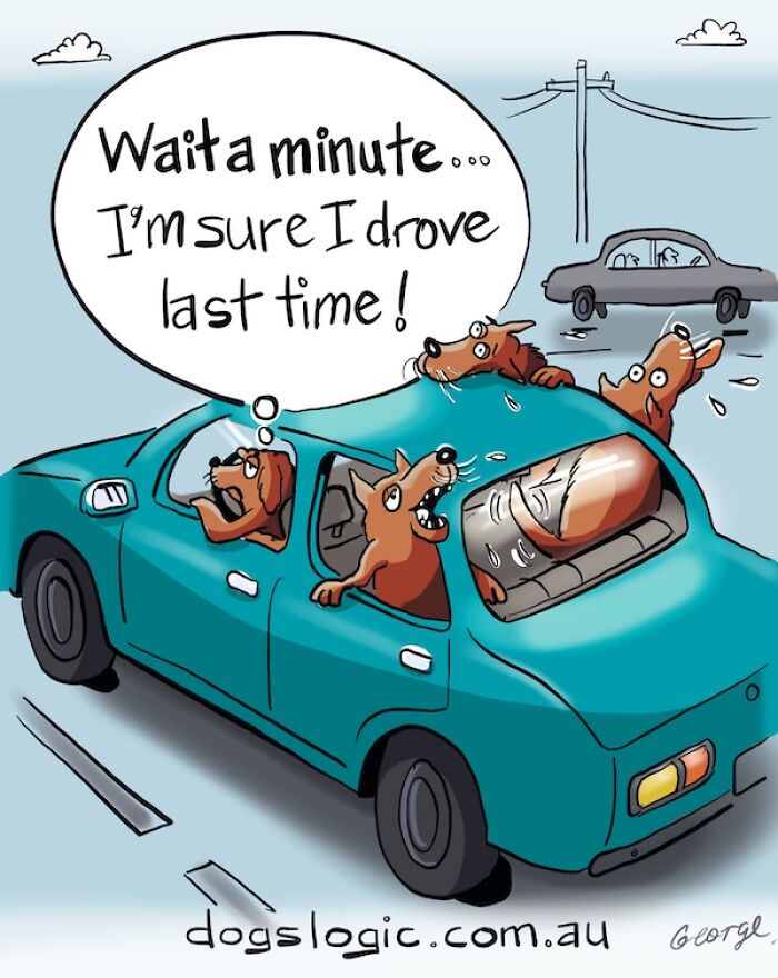 A comic of dogs driving a car and hanging out the windows, depicting funny dog logic