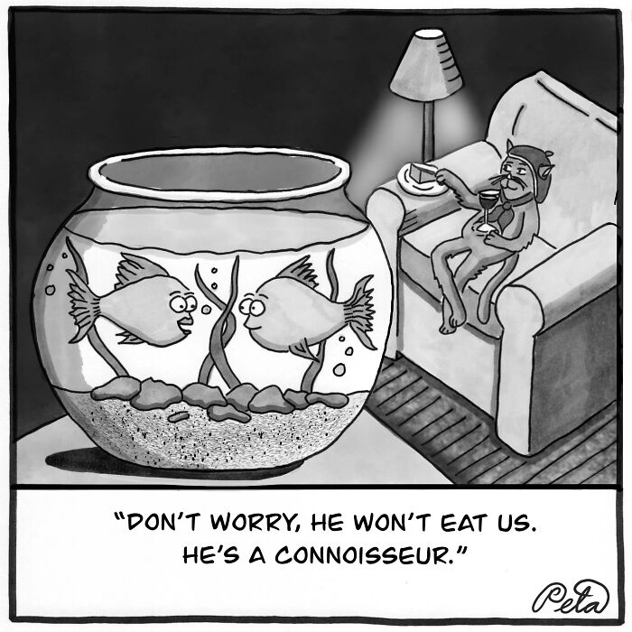 Comic of fish in a bowl reassured about owner being a connoisseur, not predator
