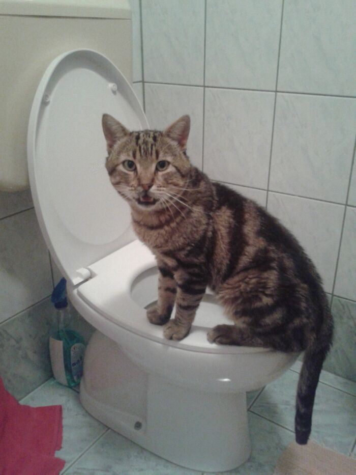 Please Give Me Some Privacy!