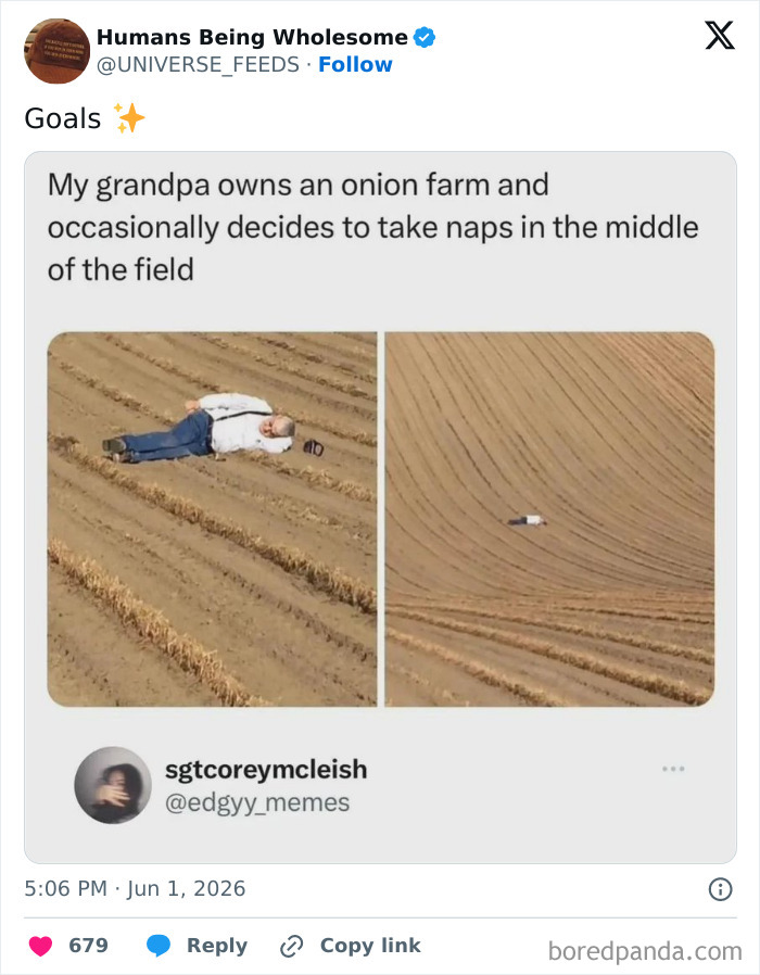 Wholesome moment of grandpa napping in the middle of an onion farm field
