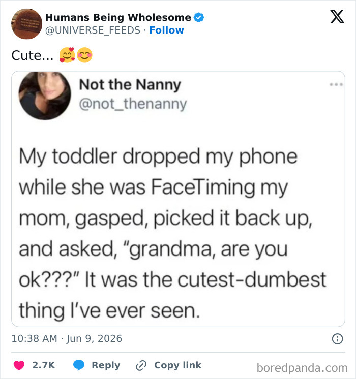 Toddler accidentally dropping phone on FaceTime and asking grandma if she's okay wholesome moment
