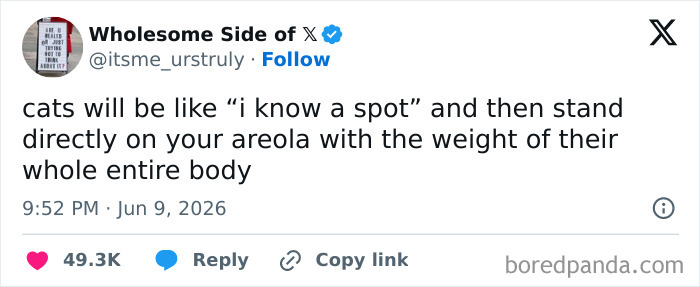 A tweet about cats standing on your chest, a funny meme that captures relatable moments.