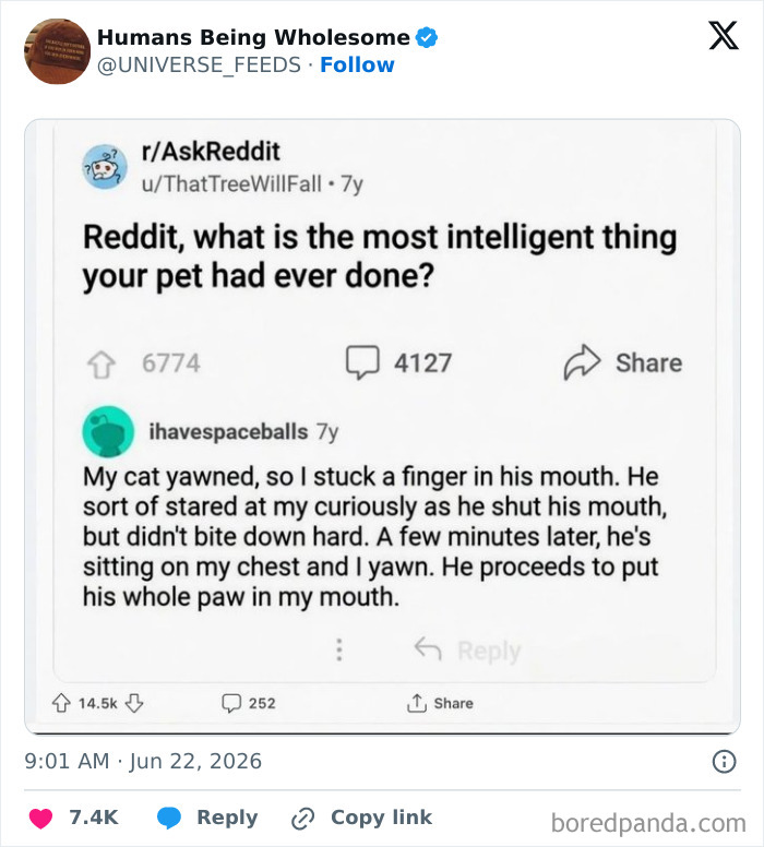 Wholesome pet intelligence story shared on Reddit about a clever cat