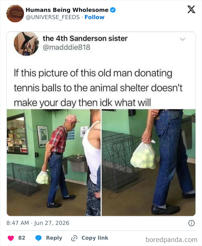 Old man donates tennis balls to animal shelter bringing joy and warmth