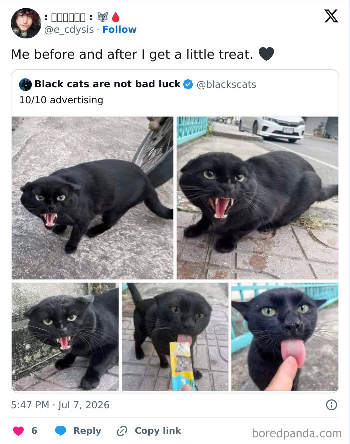 A collage of cat photos that is a perfect meme, showing a black cat looking angry, then happily licking an ice cream.