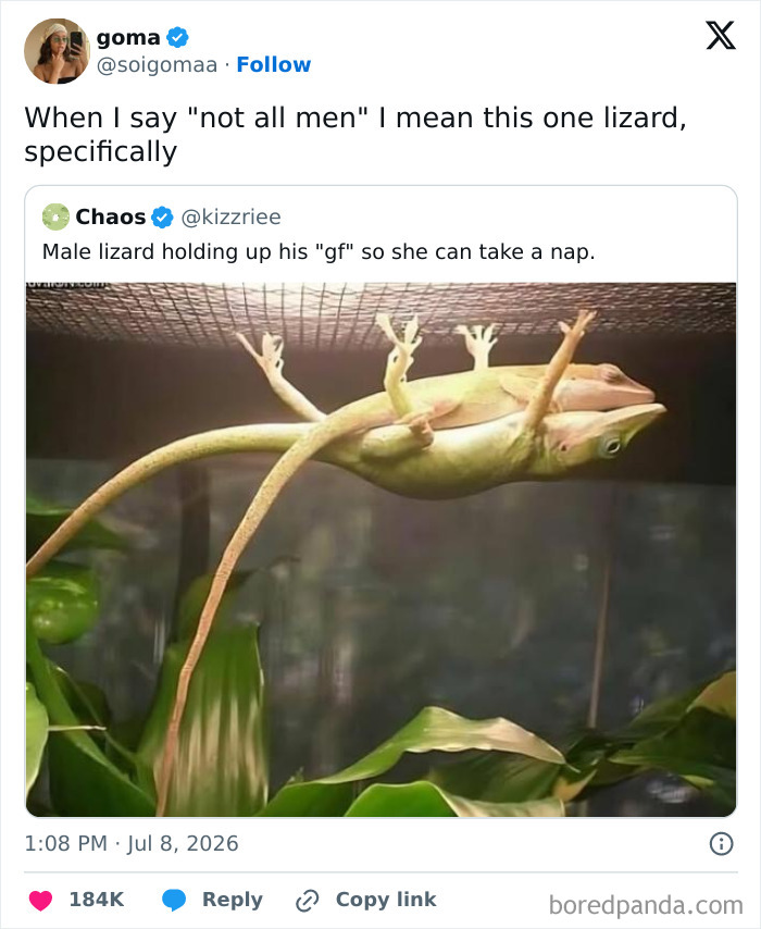 A meme of a male lizard holding up another lizard, allowing it to nap, captioned with 'When I say not all men I mean this one lizard, specifically'.