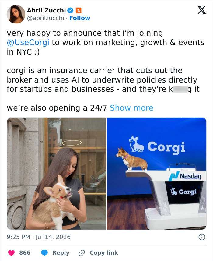 Social media post announcing marketing role at corgi tech startup with corgi images