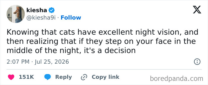 A meme about cats' night vision and stepping on faces, highlighting relatable pet owner thoughts.