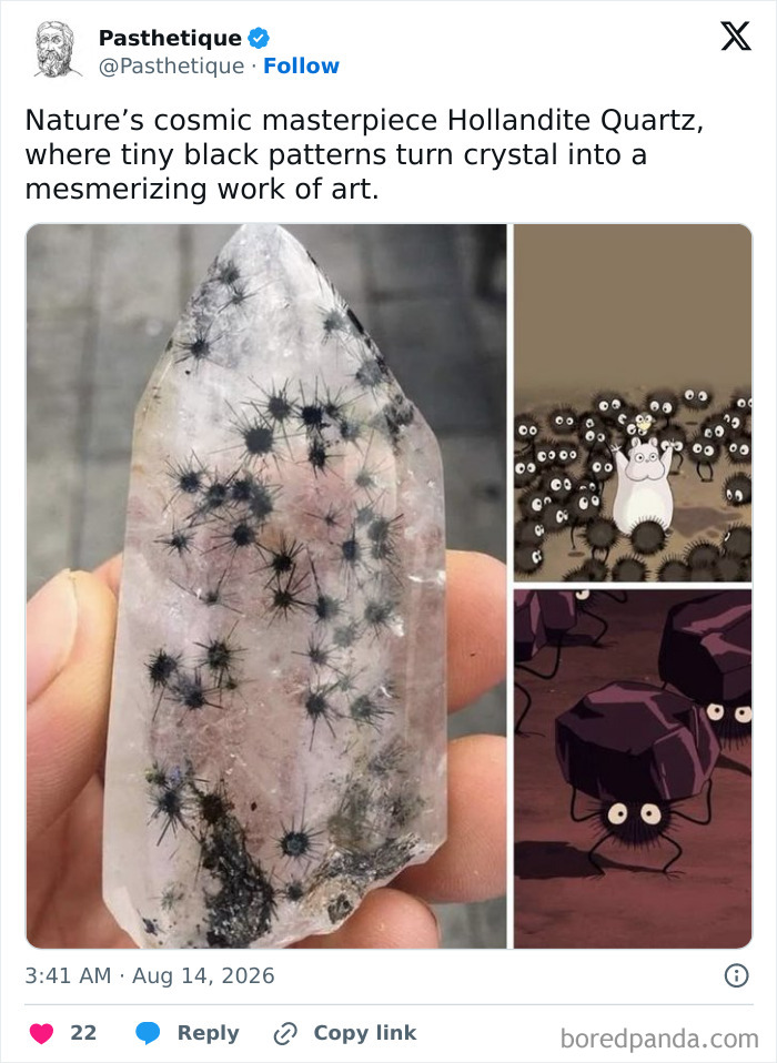 Hollandite Quartz crystal showing natural black starburst patterns resembling aesthetic art
