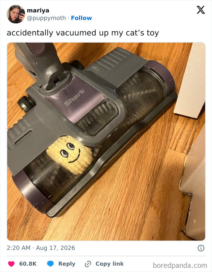 Funny tweets about a vacuumed cat toy with a smiley face, accidentally sucked up.