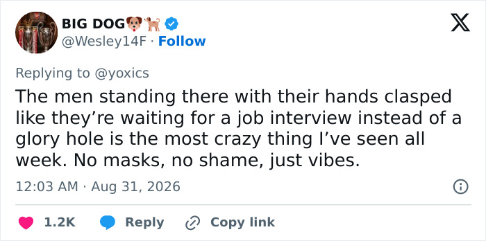 Tweet commenting on Lily Phillips adult industry stunt and viewer fixation. Tweet commenting on Lily Phillips adult industry stunt and viewer fixation.