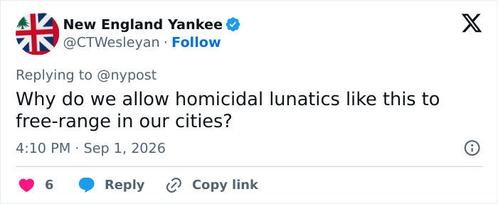 A tweet questioning why homicidal lunatics are allowed to free-range in cities after the Times Square attack. A tweet questioning why homicidal lunatics are allowed to free-range in cities after the Times Square attack.