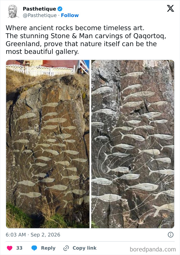 Aesthetic art of stone carvings depicting fish on rock faces in Greenland
