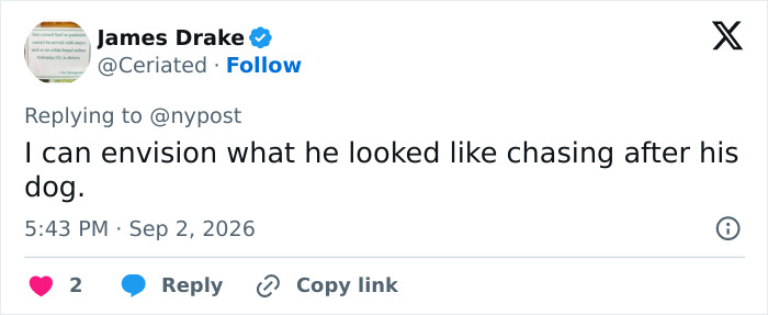 Isla Fisher's dating 'ick' after divorce, a user comment imagining a man chasing his dog.