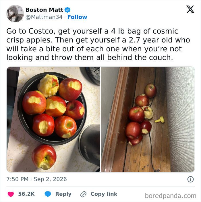 A social media post about parents sharing stories of a toddler biting apples and hiding them behind the couch.
