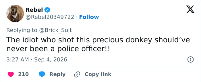 A social media post from Rebel expressing outrage about the Georgia cop who fatally fired on a baby donkey. A social media post from Rebel expressing outrage about the Georgia cop who fatally fired on a baby donkey.
