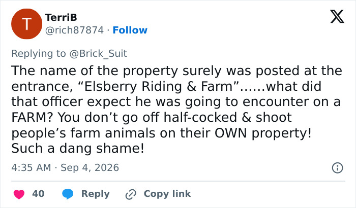 A social media post from TerriB discussing the Georgia cop who fatally fired on a baby donkey. A social media post from TerriB discussing the Georgia cop who fatally fired on a baby donkey.