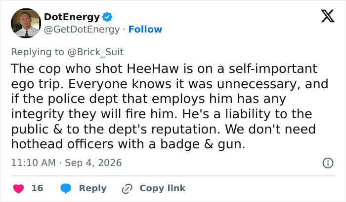 Tweet from DotEnergy discussing a Georgia cop fatally firing on a baby donkey. Tweet from DotEnergy discussing a Georgia cop fatally firing on a baby donkey.