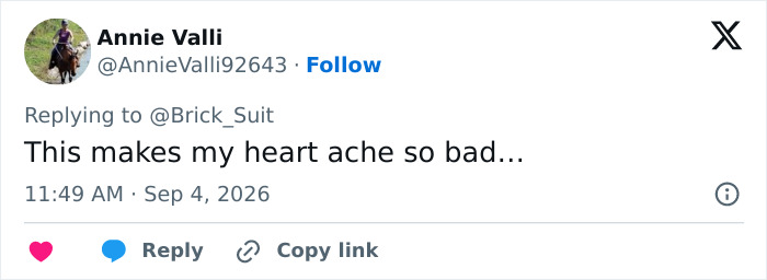 Tweet expressing heartbreak over Georgia cop shooting baby donkey. Tweet expressing heartbreak over Georgia cop shooting baby donkey.
