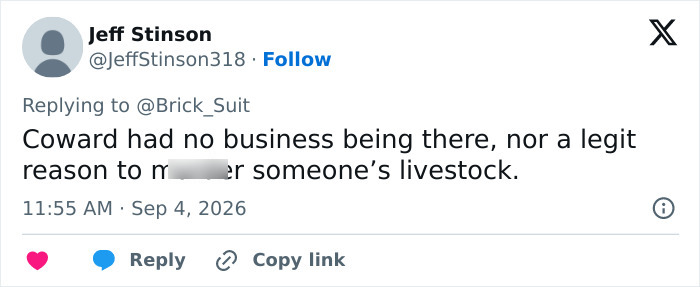 Tweet from Jeff Stinson concerning a Georgia cop fatally firing on a baby donkey. Tweet from Jeff Stinson concerning a Georgia cop fatally firing on a baby donkey.