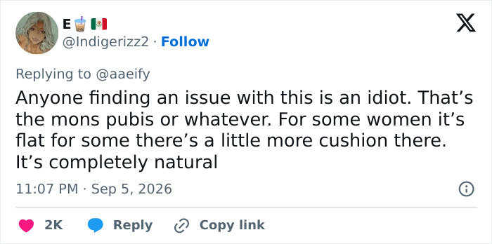 Screenshot of a social media comment defending Johyun's styling at Karlovy Vary VIP premiere, calling it natural. Screenshot of a social media comment defending Johyun's styling at Karlovy Vary VIP premiere, calling it natural.