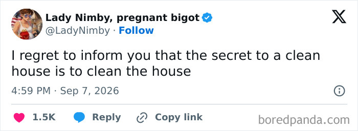 Funny tweets about cleaning the house