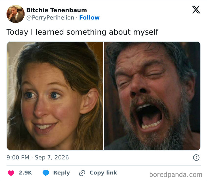 A split image meme featuring a smiling woman and a man grimacing in pain, part of savage memes related to Theranos fraud.